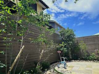 見上げたら樹木の枝の存在を感じることができる。樹木を植えなければ、そんな景色は見ることができない。