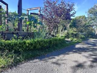 夏　8月22日酷暑の日々が続く中、前回芝刈りしたのは、1か月半くらい前でしょうか。雑草も生えてるし、芝も伸びてる。なんかボヤッとした景観