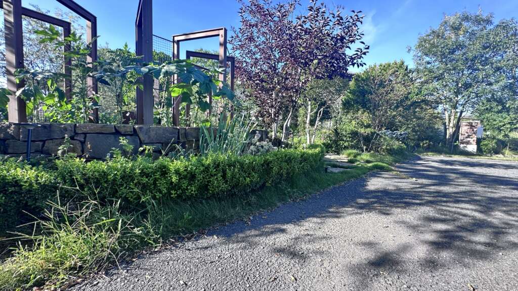 夏　8月22日酷暑の日々が続く中、前回芝刈りしたのは、1か月半くらい前でしょうか。雑草も生えてるし、芝も伸びてる。なんかボヤッとした景観