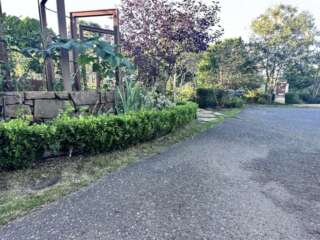 見えてる範囲の芝を刈るのに大体1時間半くらい。まず除草してから、芝刈りハサミでチョキチョキ。狭小スペースは道具も小さくコンパクトに動けるものがおすすめです。