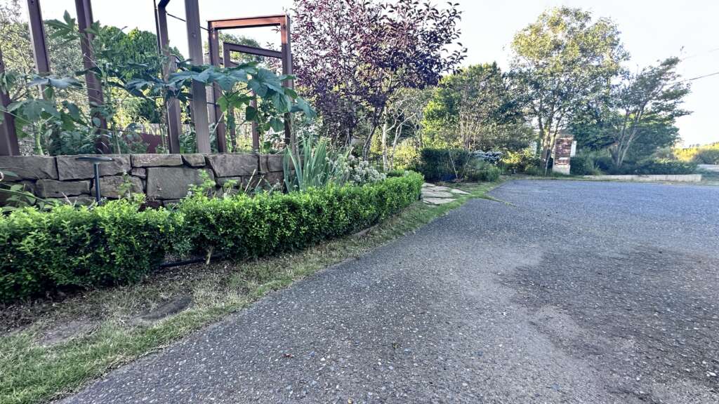 見えてる範囲の芝を刈るのに大体1時間半くらい。まず除草してから、芝刈りハサミでチョキチョキ。狭小スペースは道具も小さくコンパクトに動けるものがおすすめです。